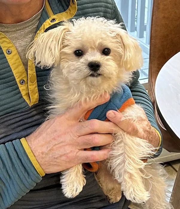 Bond Vet - Paramus Picture 3