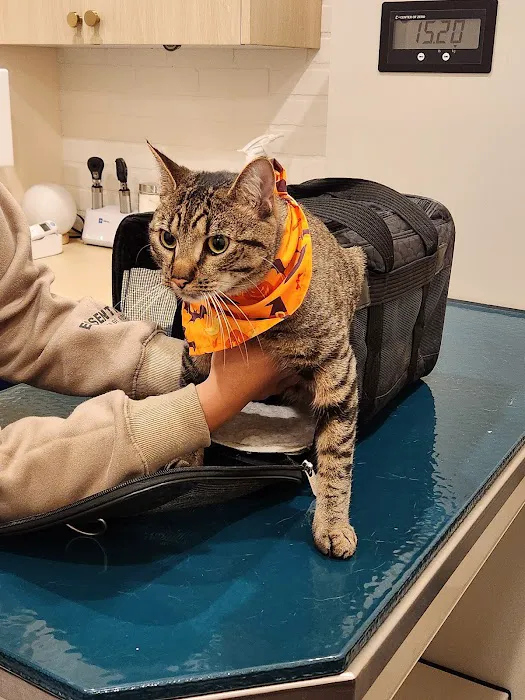 Bond Vet - Paramus Picture 1
