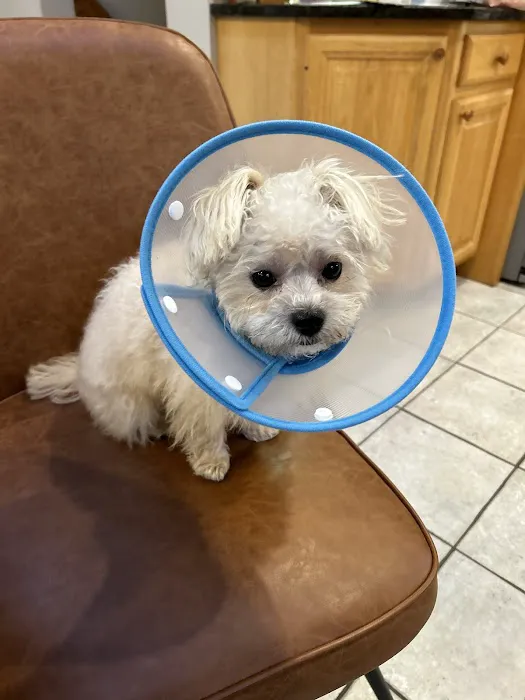 Bond Vet - Paramus Picture 2