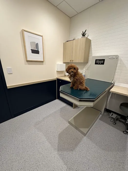 Bond Vet - Paramus Picture 7