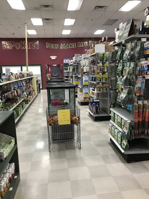Petland Shavano Park Picture 2