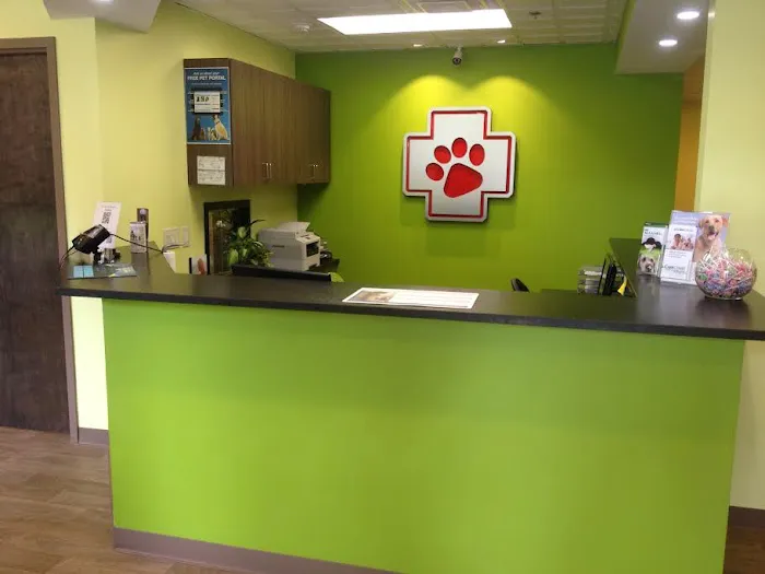 Animal Care of Oradell Picture 2