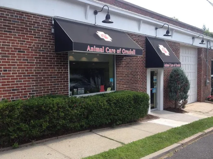 Animal Care of Oradell Picture 3