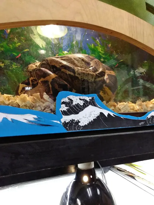 Forever Pets Inc Picture 1