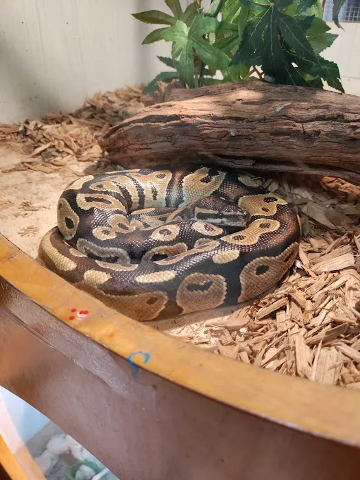 Forever Pets Inc Picture 6