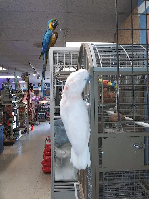 Forever Pets Inc Picture 7