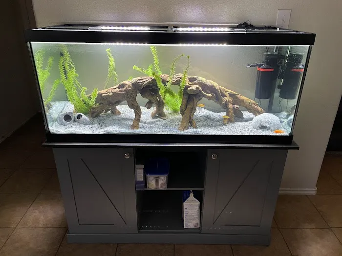Fintique Tropical Fish Pet Store Picture 9