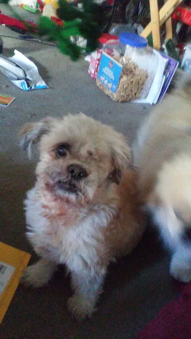 Emerson Animal Hospital Picture 7