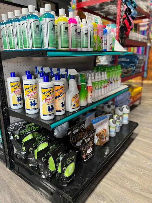 Prominent Pet Supply (DowntownSA) Picture 2
