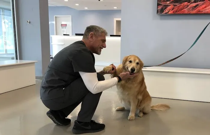 Westwood Regional Veterinary Hospital Picture 6
