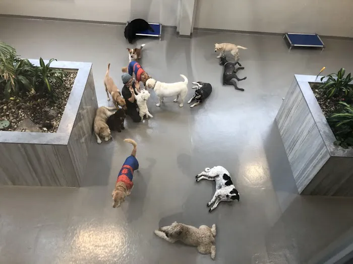 Westwood Regional Veterinary Hospital Picture 3