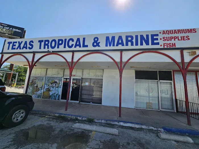 Texas Tropical & Marine Picture 2