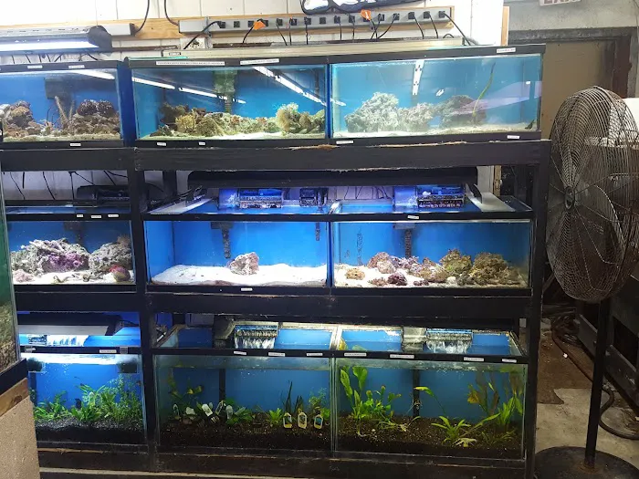 Texas Tropical & Marine Picture 3