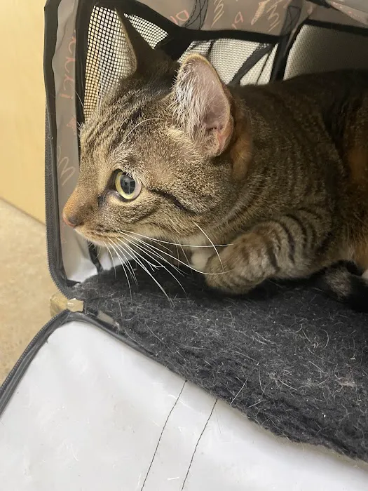 Vetco Total Care Animal Hospital Picture 4