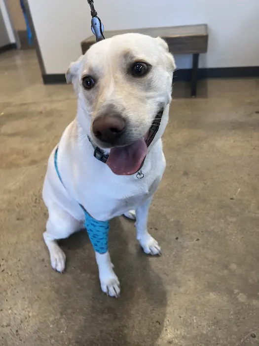 Vetco Total Care Animal Hospital Picture 8