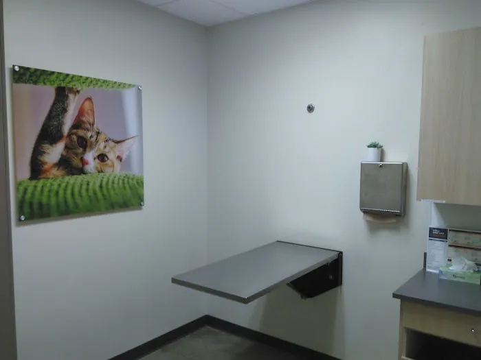 Vetco Total Care Animal Hospital Picture 7
