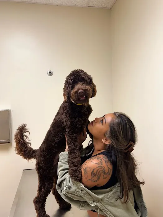 Vetco Total Care Animal Hospital Picture 10