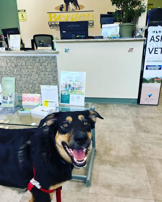 Bergen Veterinary Hospital Picture 4