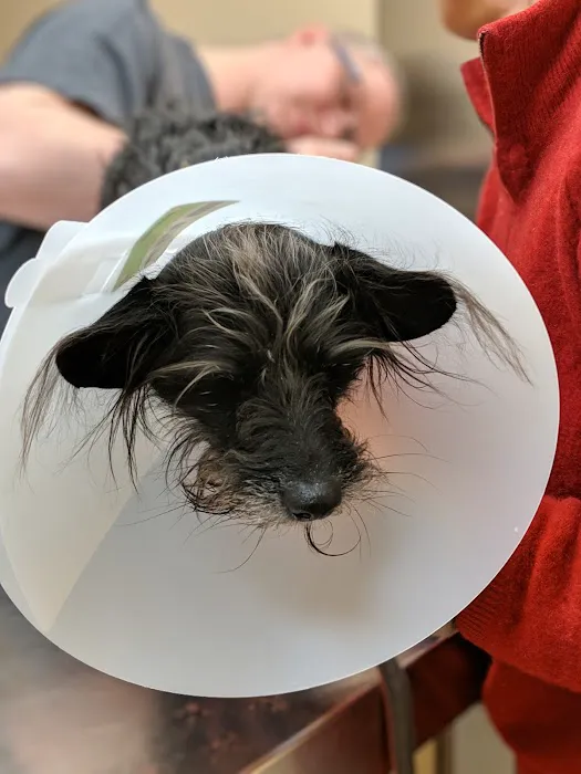 Bergen Veterinary Hospital Picture 5