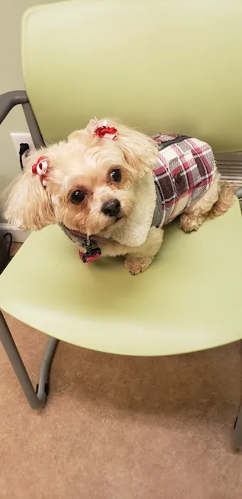 Bergen Veterinary Hospital Picture 2