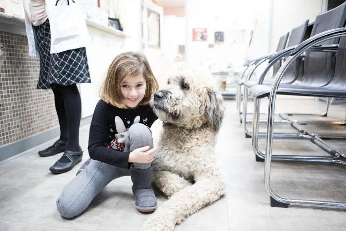 Teaneck Animal Clinic and Spa Picture 7