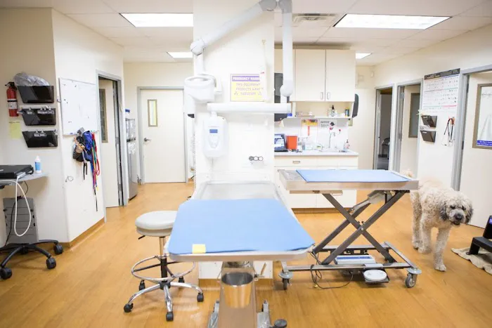 Teaneck Animal Clinic and Spa Picture 8