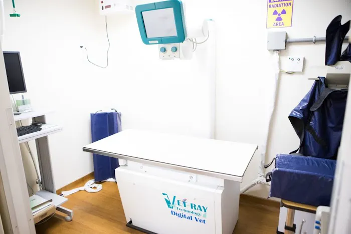 Teaneck Animal Clinic and Spa Picture 5