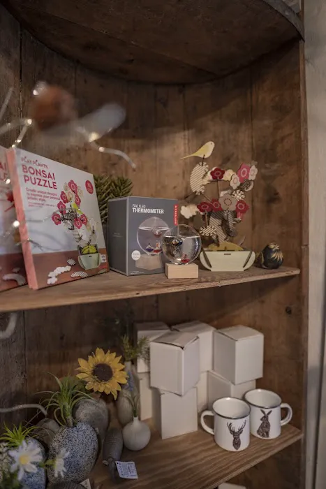 A Little Nature Store Picture 6