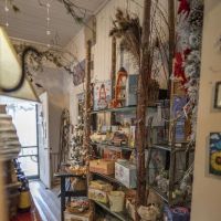 A Little Nature Store ico