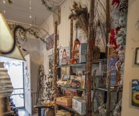 A Little Nature Store