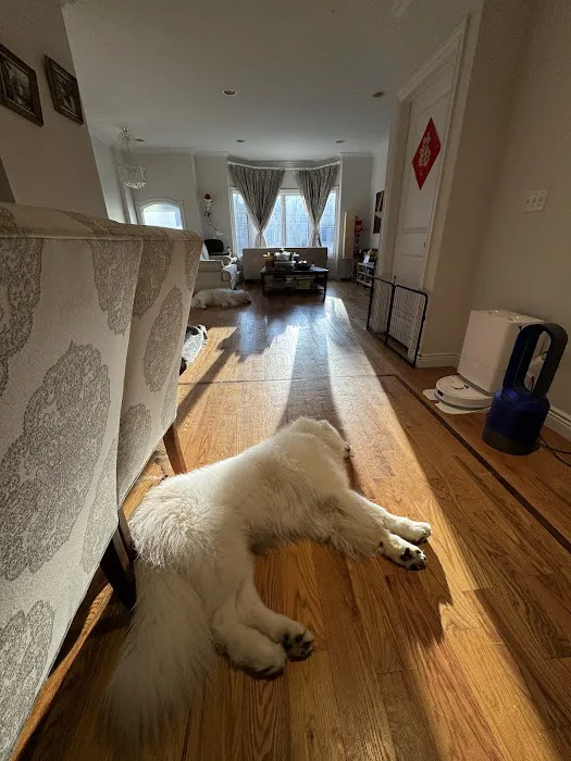 Oradell Veterinary Group of Fort Lee Picture 9