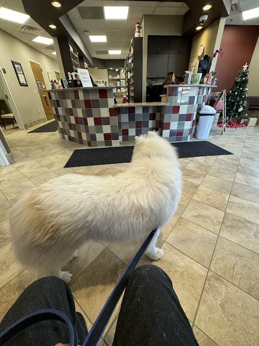 Oradell Veterinary Group of Fort Lee Picture 7