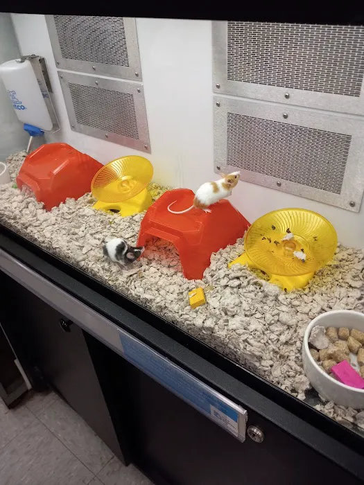 Petco Picture 5