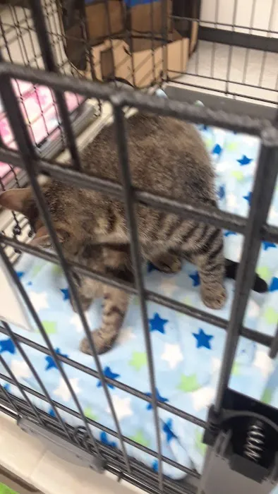 Petco Picture 6