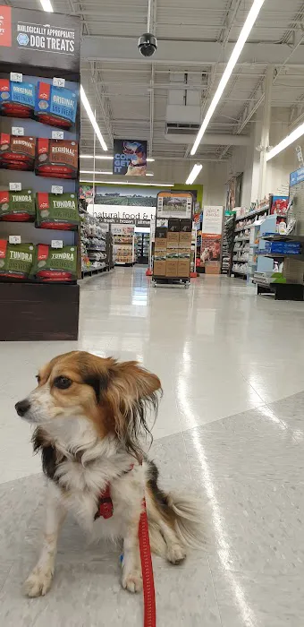 Petco Picture 9