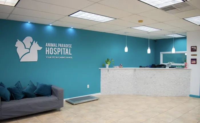 Animal Paradise Hospital Picture 3