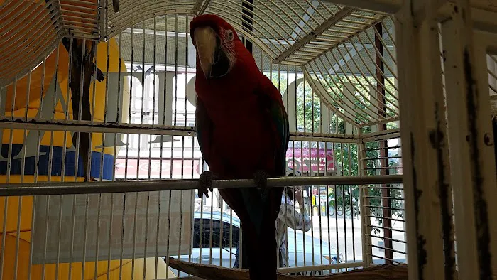 Animal Paradise Hospital Picture 7