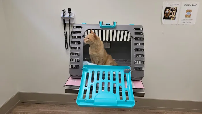 Fort Lee Animal Clinic Picture 9