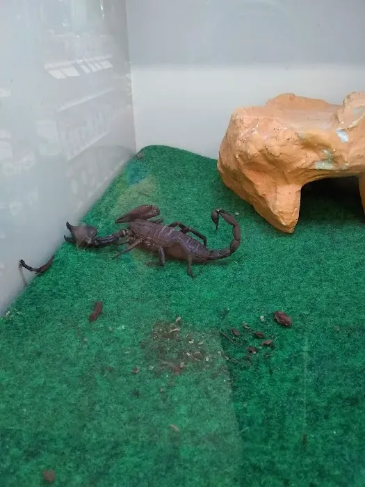 Pet Supplies Plus San Antonio - Babcock Picture 1