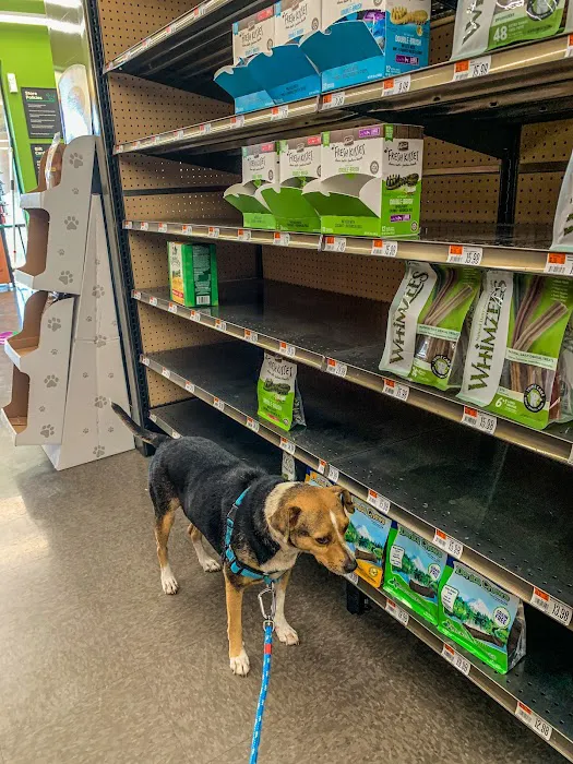 Pet Supplies Plus San Antonio - Babcock Picture 7