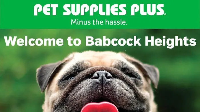 Pet Supplies Plus San Antonio - Babcock Picture 3