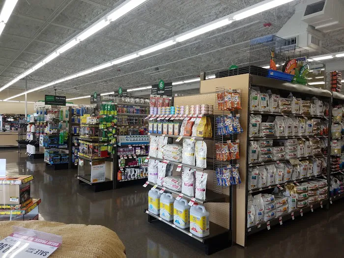 Pet Supplies Plus San Antonio - Babcock Picture 9