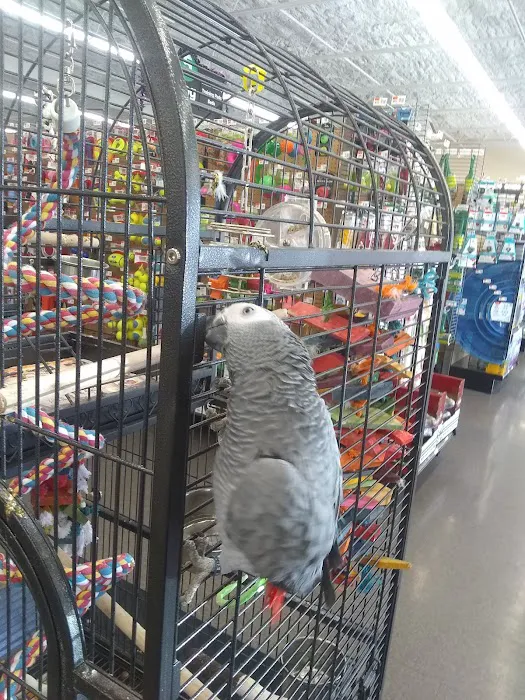 Pet Supplies Plus San Antonio - Babcock Picture 8