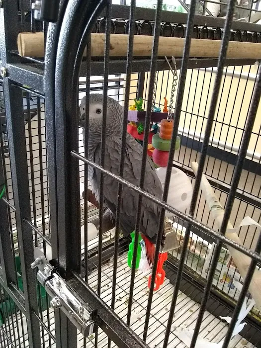 Pet Supplies Plus San Antonio - Babcock Picture 2