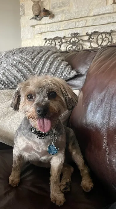 Petco Picture 2