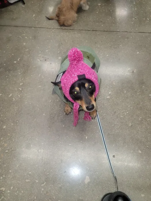 Petco Picture 4