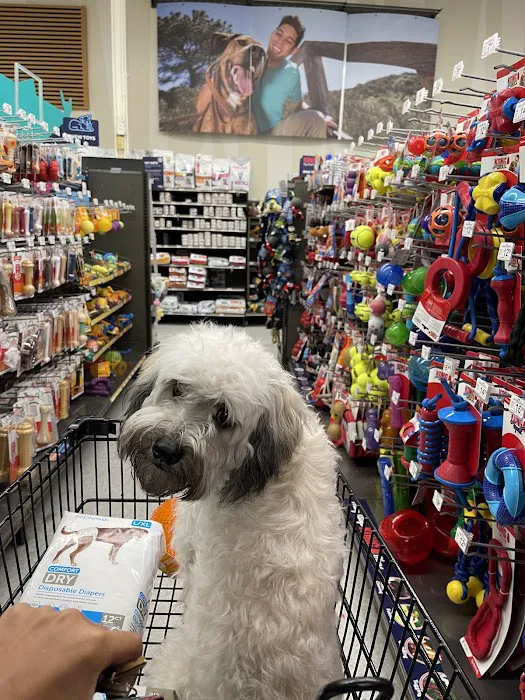 Petco Picture 9