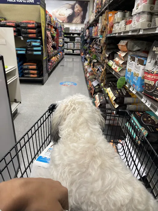 Petco Picture 7