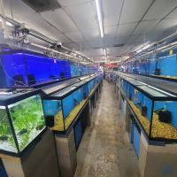 Papa Jim's Tropical Fish ico