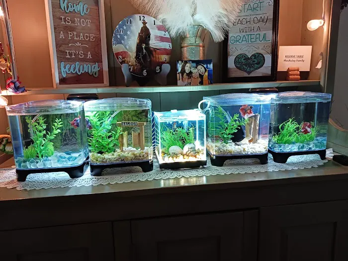 Papa Jim's Tropical Fish Picture 6